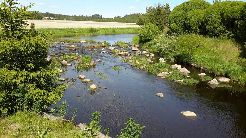 20150606_142527_resized_1